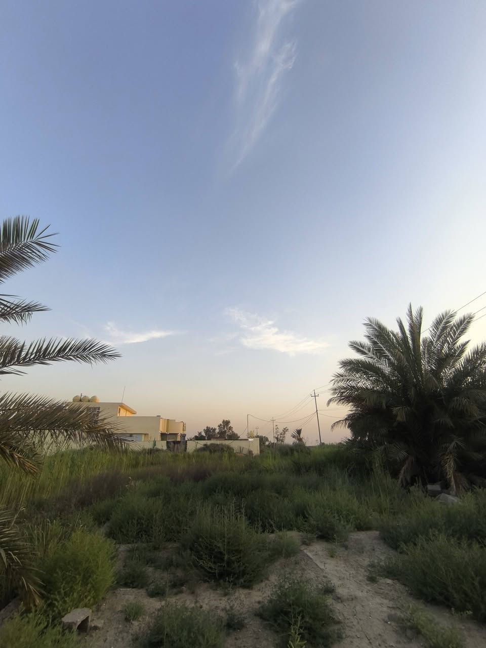 السلام عليكم قطعه ارض للبيع على طريق المطار مقابيل محطه قريبه عالشارع من تجي من التقاطع على ايدك اليسر السنه 25 قطعه مساحتها 200 واللي يريد اكثر موجوده والاستفسار على هذا الرقم والسعر مناسب ***********
