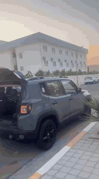 ٢٠١٨ • دفع رباعي • ضربة يمين