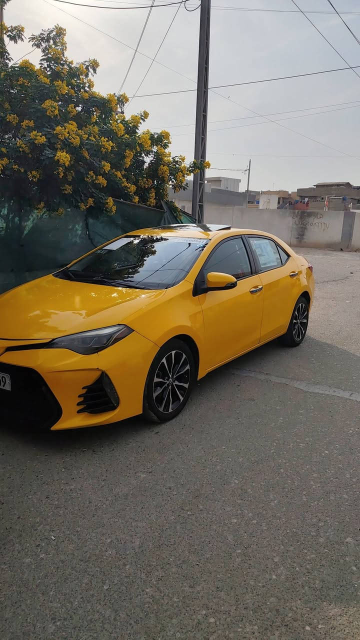 كورلا موديل 2018 xse فول مواصفات بينه نص جاملغ سكن وشويه من البونيد تصفيه ما بيه 
رقم الهاتف ***********

