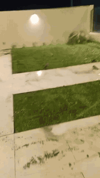 تنظيف حدائق • زرع حدائق • تصميم ديكورات