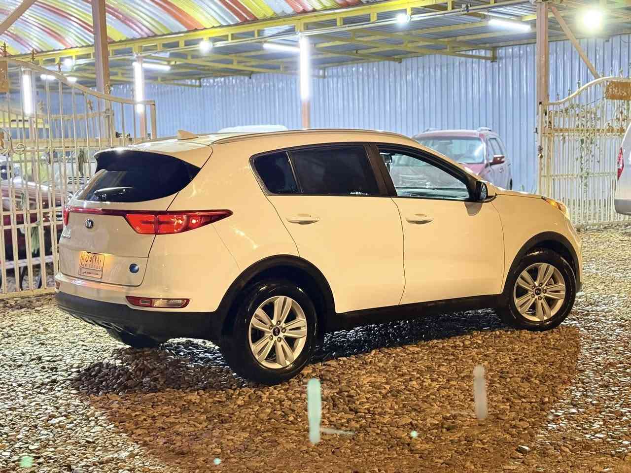 كيا سبورتج موديل 2019 رقم بغداد مشروع وطني بسمي تحويل مباشر سياره نضيفه جداً وضع الشركة وارد أمريكي ضرره دعاميه فقط كفالة عامة حته من الزلغ ماشيه ٨٠ ألف حقيقي محرك كير صدر تخم تاير تبريد كله وضع الشركة محرك 2400 مواصفات نص فول معروفه مكاني بابل ناحية الشوملي 

للاستفسار : ***********
