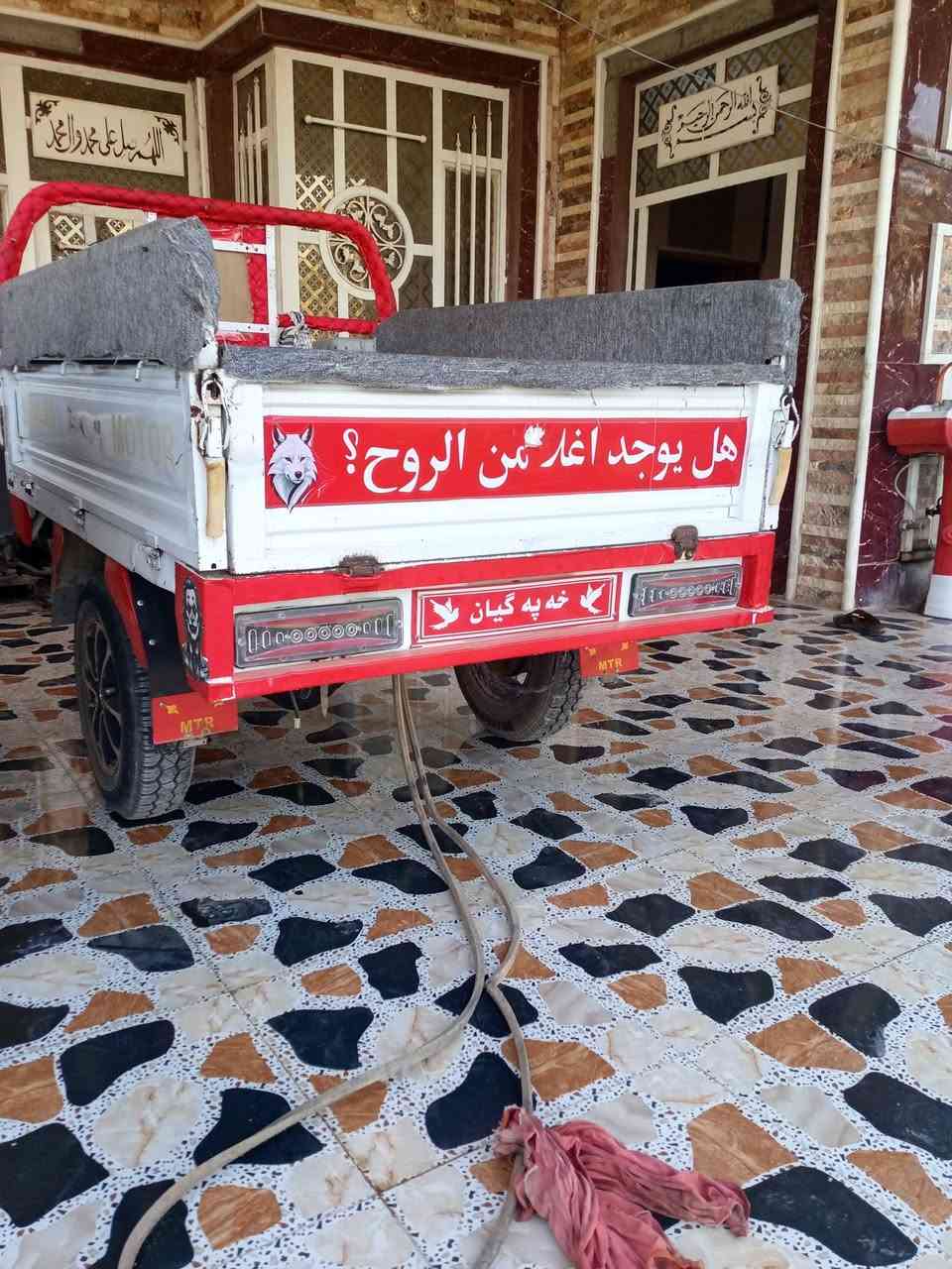 لبيع فحل ونثيه موديل 20و 19كفاله عامه التواصل ع *********** عنوان ديالي خالص
