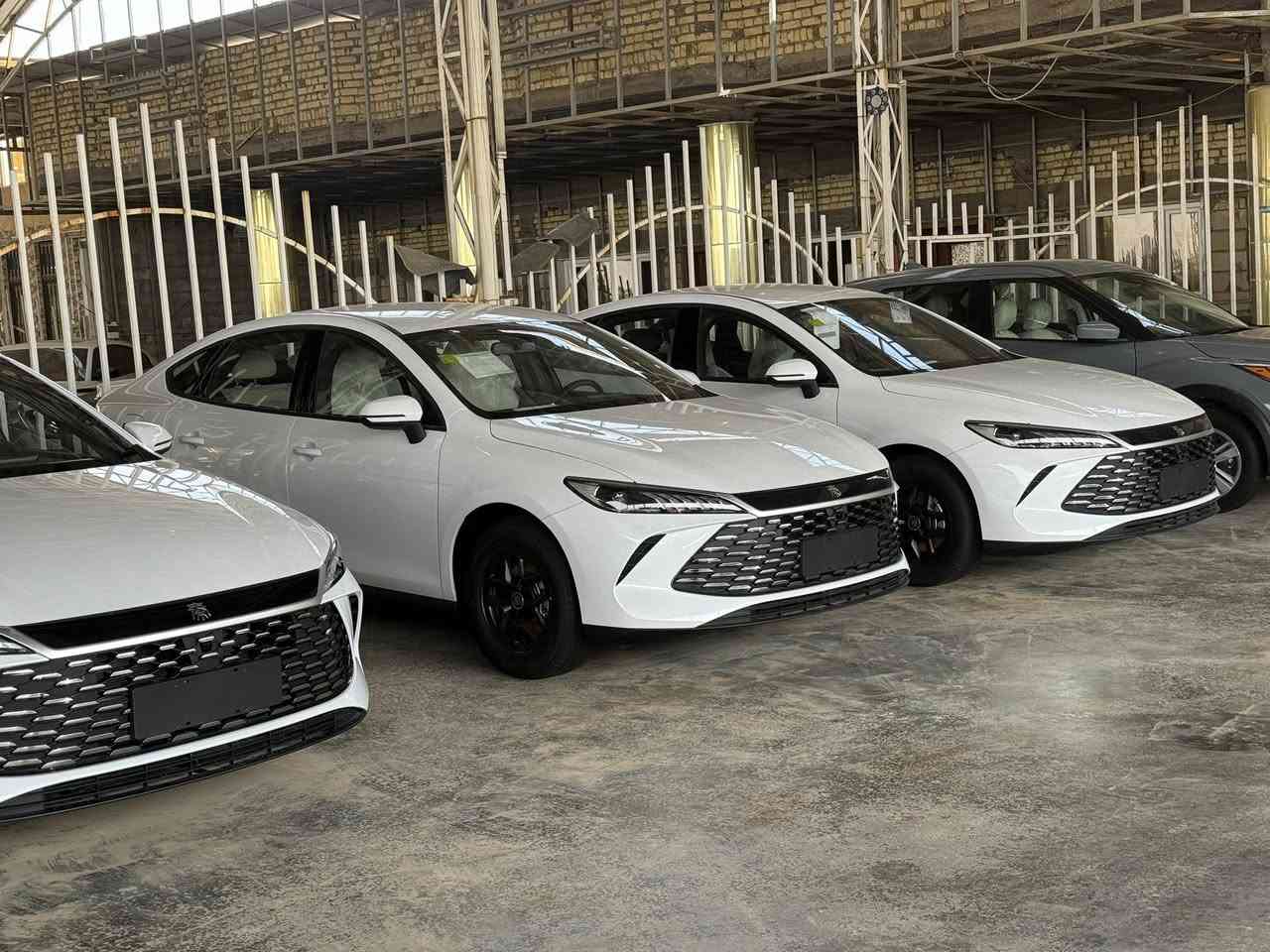 كن بلص 2025
ترقم جميع محافظات 
السعر 116 شامل الرقم 
العنوان المثنى الرميثه 
تليفون ***********
