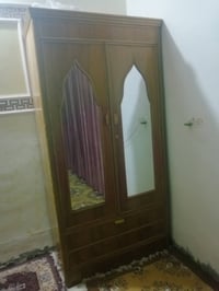 حصران • ٦ قطع • بابل قرب العلويه