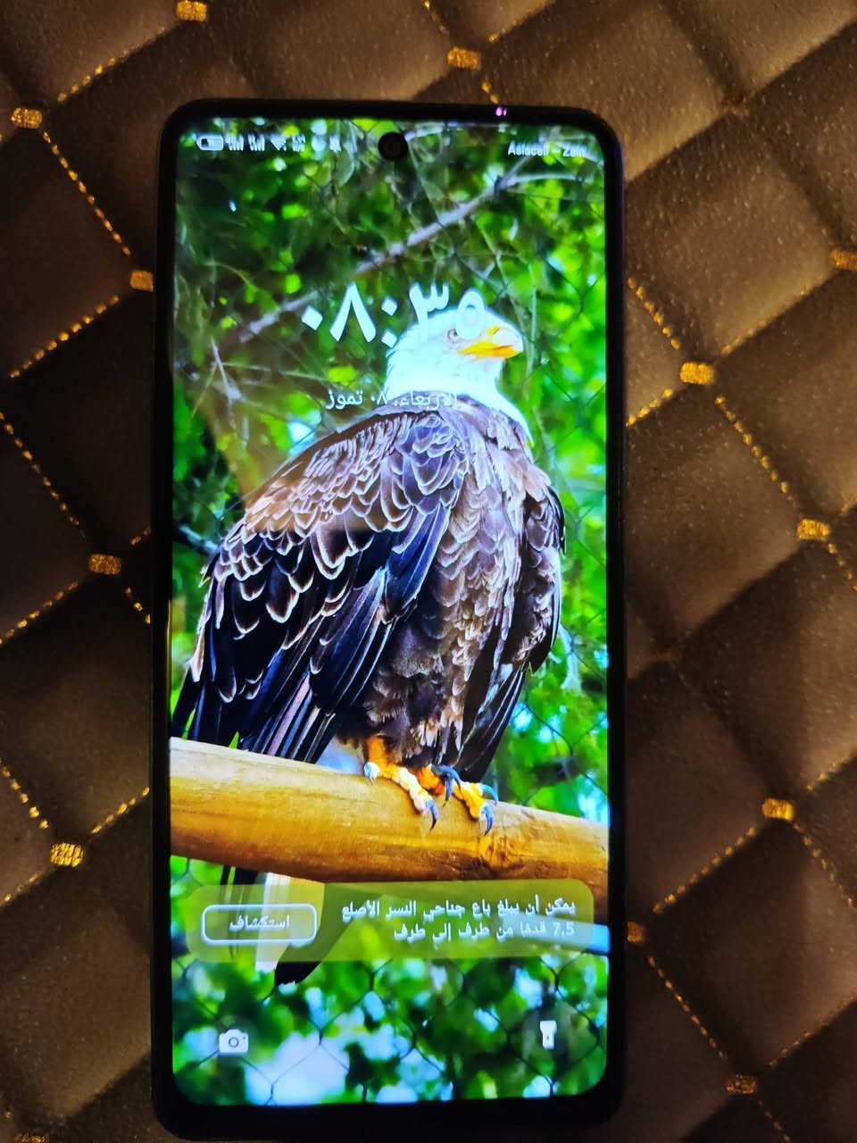 للبيع
تكنو بوفا 5
 ذاكرة 256
  بطارية 6000
  دبل سيم
  بدون ملحقات لا مفتوح ولا مصلح اخو الجديد عنوان النجف 
واتساب ***********
