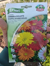 بذور زهور • الفلوجة • نباتات منزلية