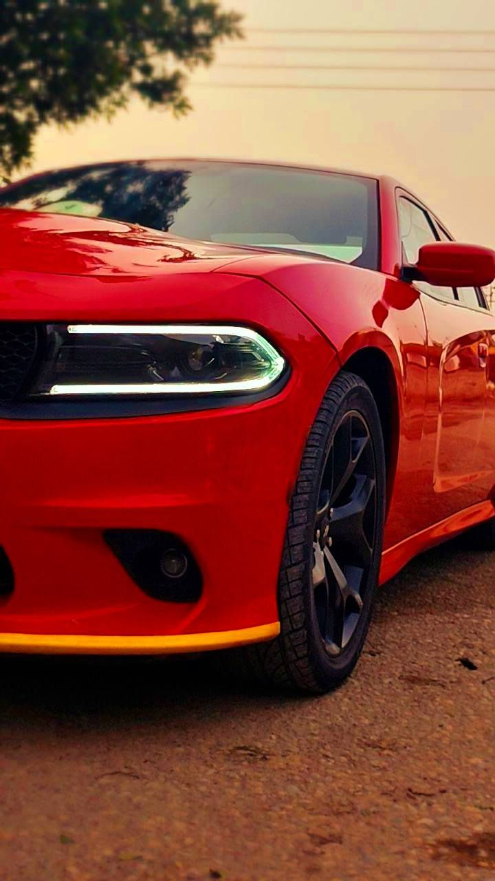 جارجر2022.GTرقم بغداد بسمي تحويل ثاني يوم موصفات لون احمر طماطه
شفتات+مرايه قلاب+كامره دواره

حساسات خلفي+حساسات مرايه

شاشه كبيره

تبريد خلفي 

عداد مسافة

60mi

هواي بعد موصفات ماعرفه 

حادث امريكا سطحي من كدام 

اني دخلته من امريكا

ستخدام شخصي

تفتصيل اكثر نتصال وتدلل 

***********

العنوان : ميسان العماره 

السعر :230$وبيه مجال

افحص سونار وقتنع وخادم
