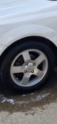 ويل كب مراوس بويل عادي مكاني بغداد البلديات ٠٧٧١٦٩٧١٧٠٤