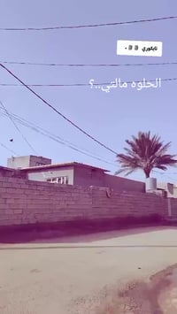 موديل ٢٥ • فول كهربايات • دلي عباس