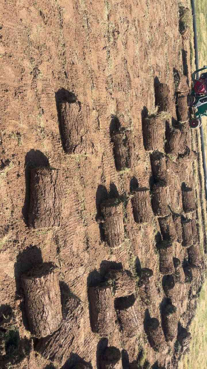 نعلن عن توفر خدمة إزالة الثيل القديم بالكامل مع تجهيزها لزراعة الثيل الجديد بطريقة احترافية..
كما يتوفر لدينا ثيل هندي درجة أولى كثيف ولون أخضر مميز مناسب للحدائق المنزلية والاستراحات.
للاستفسار والتواصل:
📞 (***********)
