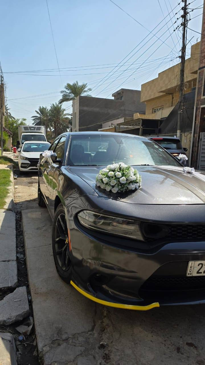 السلام عليكم
للبيع دوج جارجر 2019
محرك 6سلندر حجم 3600 بلادي مامفتوح
وارد أمريكي SXT
حادثها بنيد جاملغ بارد بلجاملغ الأيمن بدون دواخل
رقم أربيل بأسمي تحويل ثاني يوم
كير بلادي
بصمه تشغيل
لايت زنون
كشن كهرباء
حساسات خلفيه
شاشه وكامره
العنوان بغداد
السعر 185 او بيها مجال بسيط
الاستفسار على هذا الرقم ***********
