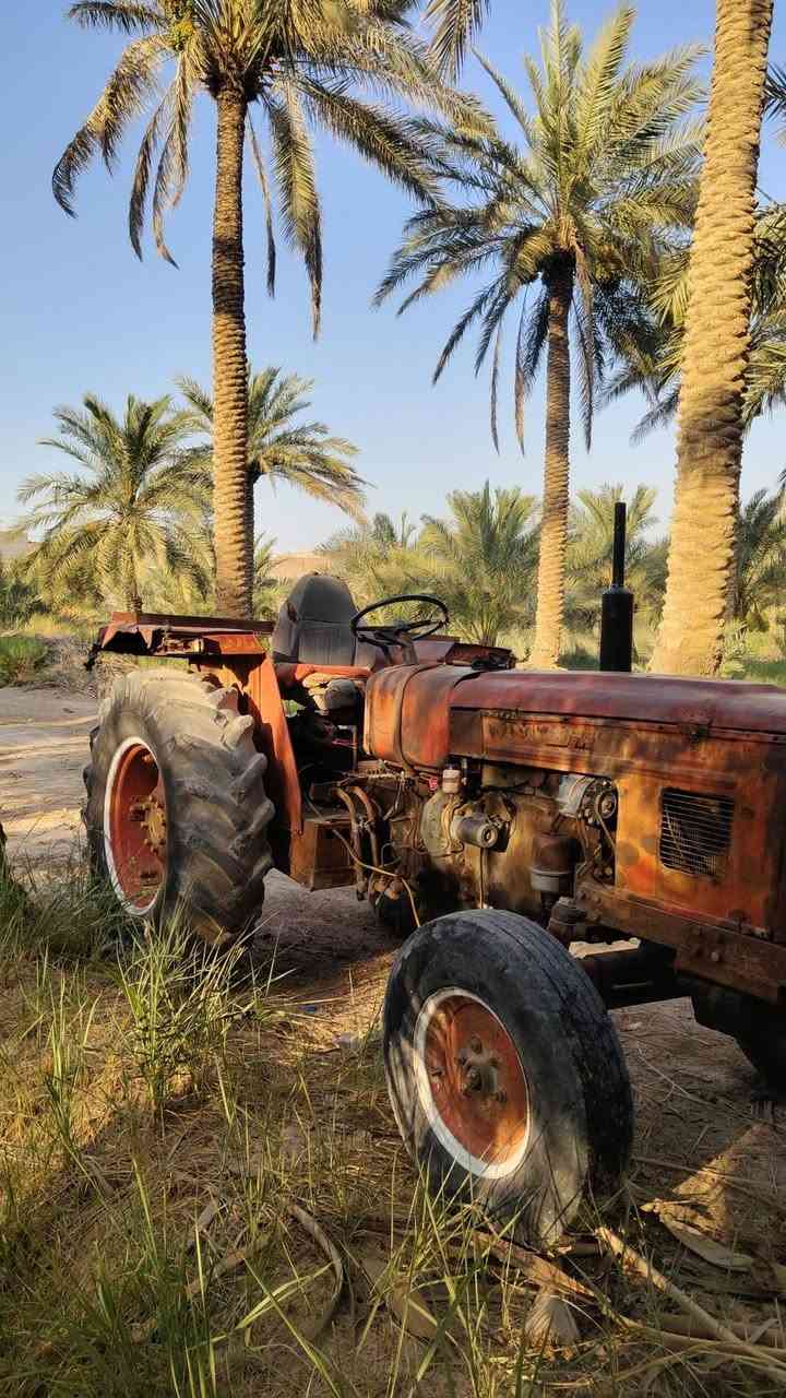 السلام عليكم كاروبه عنتر للبيع موديل 85 بدون رقم
مكينه وكير وبم شرط الفحص 

وياه فدان وشرط الكراب جاهزه
 
باور.  راديتر. . دينمه كلة جديد 

 سلف جديد نكره سلف تشتغل 

 تايرات الكبار نص عمر والصغار جدد 

عنوان نجف... ملاحضة مكلف بالنشر.. 

لتواصل على رقم الهاتف ***********
