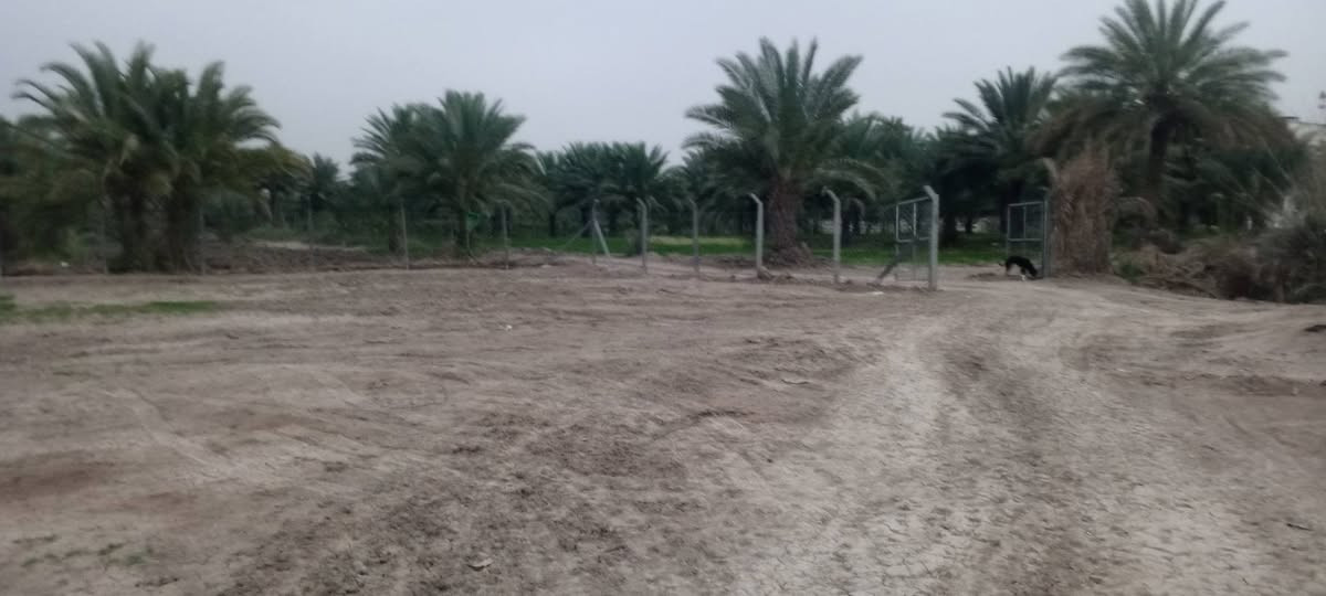قطعه للبيع طابو صرف زراعي سند 25 المساحة 620م العنوان الحمزة الغربي حي عدنان الزراعي كاع سيد شاكر الواجه 23والنزال 28 ركن على شارعين الاستفسار @الاتصال على الرقم *********** السعر 80 قفل
