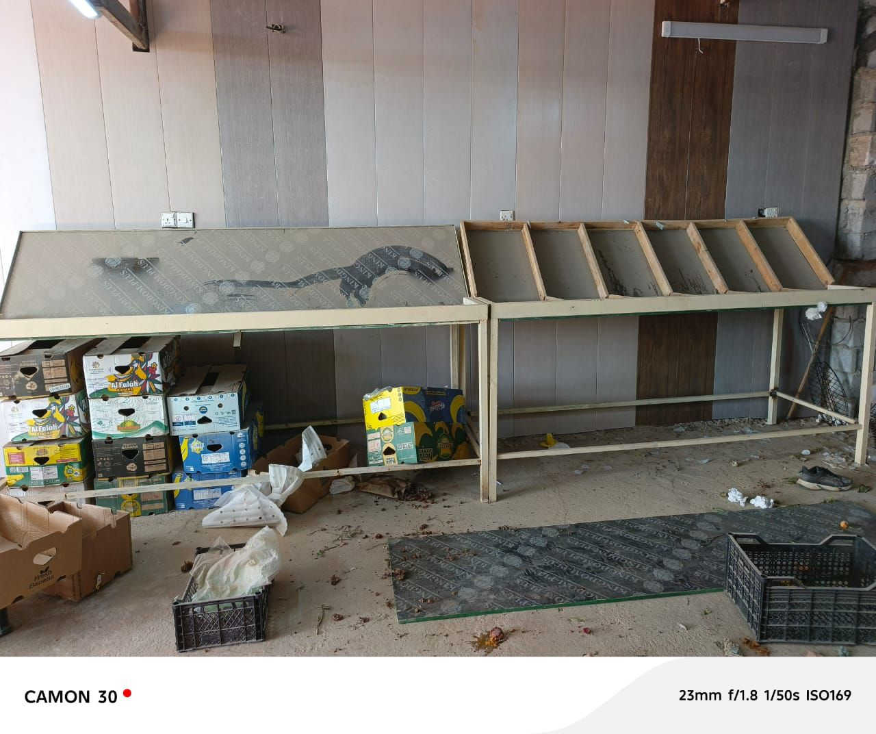 لسلام وعليكم اغراض علوه مخض للبيع ٣ميوزه +حوض سمك+قفص دجاج+ صلايه دجاد+ميازين عدد٢ واحد اكتروني واحد عيارات مكاني بغداد الكماليه ***********
