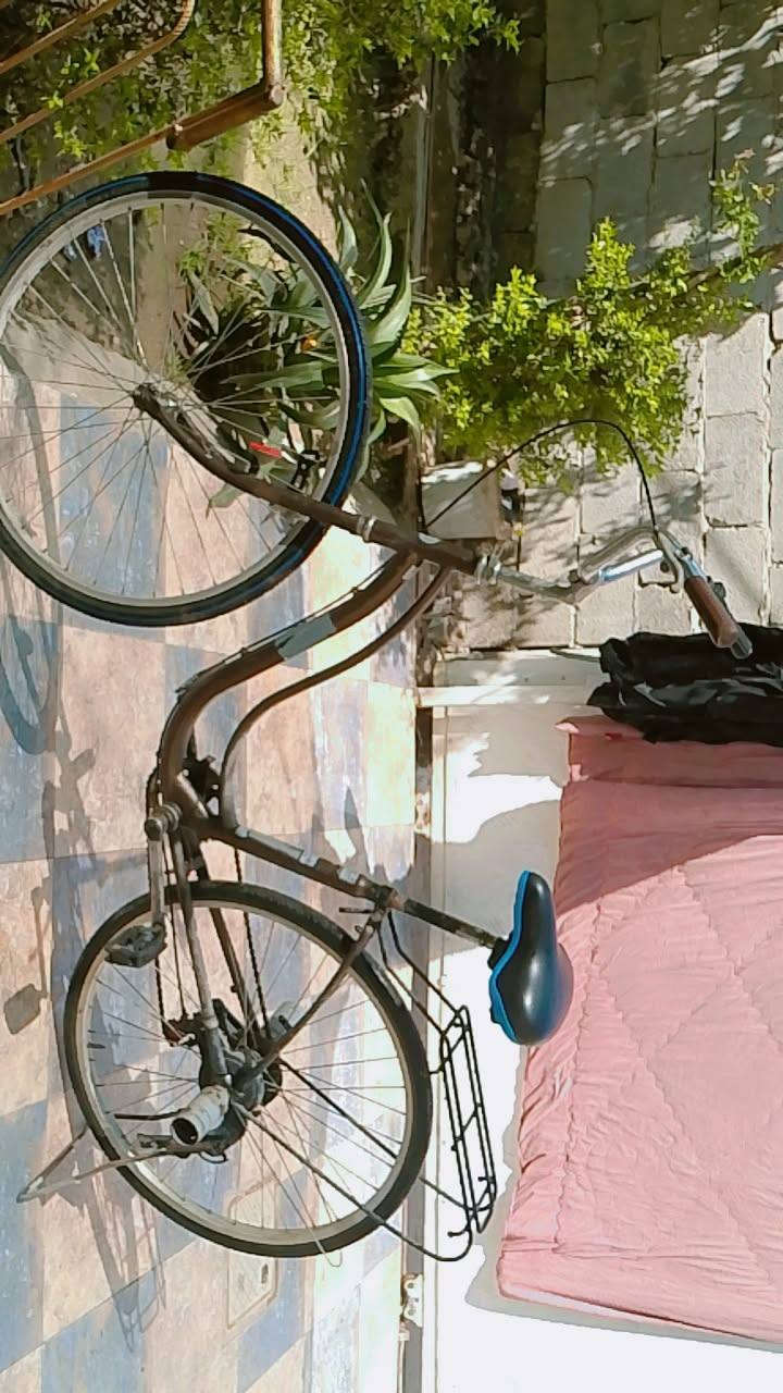 سلام عليكم السلام عليكم بايسكل للبيع بطه 26 رقم الهاتف ***********
