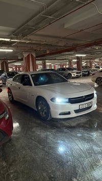 ٢٠١٥ • كفاله عامه • رقم سليمانيه