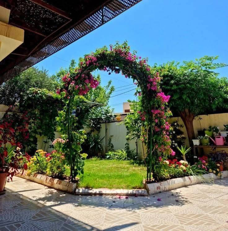 مدخل حديقتك يستحق يكون مميز 💚
أقواس ورد أنيقة تعطي فخامة وطبيعة بنفس الوقت 🌷✨
بسعر 20 الف والتوصيل لباب البيت


**إذا كنت صاحب هذا الإعلان وتريد حذفه لأي سبب، رجاءا أرسل رسالة إلى الدعم الفني**