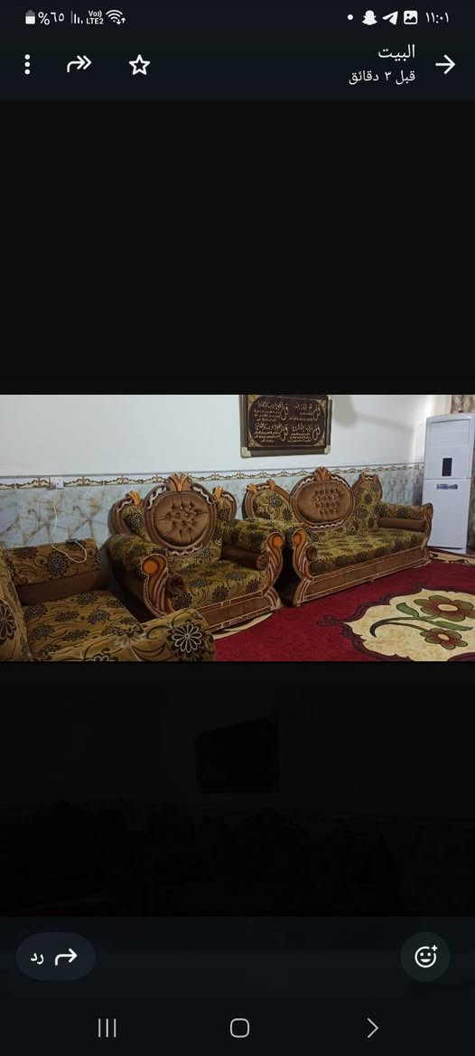 السلام عليكم تخم أبو تاج وتخم كندور للبيع في بابل 
***********
