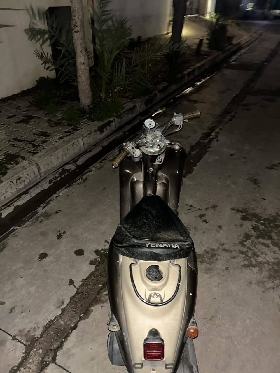 عبد الحليم فحل اخو الصفر سعر ٥٢٥ بي مجال لشراي خاص مفتوح


**إذا كنت صاحب هذا الإعلان وتريد حذفه لأي سبب، رجاءا أرسل رسالة إلى الدعم الفني**