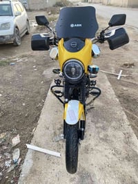 دايون ٢٠٢٣ • كفالة عام • رقم ديالى