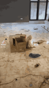 (شركه البيت النضيف لتنضيف الموقعي )
تنضيف كافه البيوت والفلل والمكاتب والمستشفيات 
كل لي عليك تتصل *********** متوفر وتساب 
دقه وإنجاز في العمل
