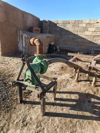 خنزيره ايطاليه • كركوك