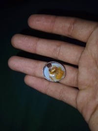 ورحمه الله وبركاته توفر القوي محبس بحجر{[ الداوودي]} محبس جميل جدا  وص...