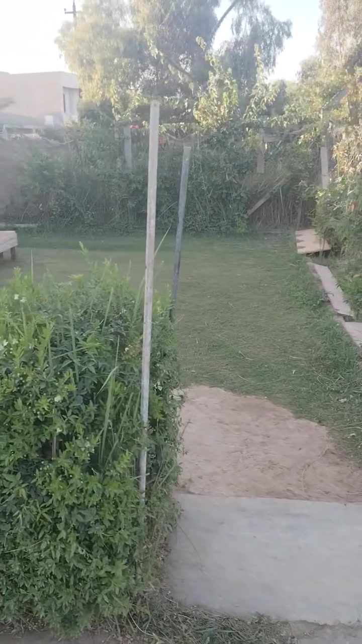 بيت للبيع الدجيل حي العسكري طابو المساحه ٢٠٠م


**إذا كنت صاحب هذا الإعلان وتريد حذفه لأي سبب، رجاءا أرسل رسالة إلى الدعم الفني**