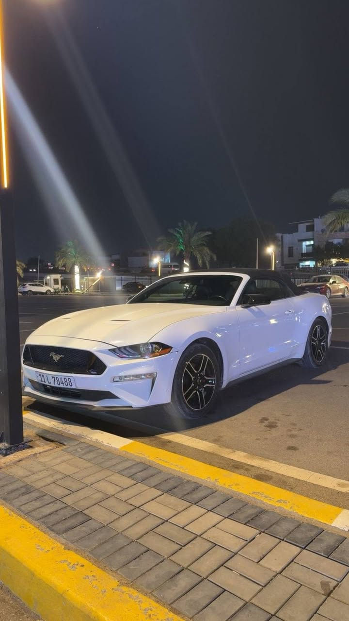 موستنك 2023 ايكو بوست
فول مواصفات بريميوم ماشيه ٣٥ميل 
حادثها بنيد وجاملغ وباب رقم بغداد وبأسمي 
مواصفات سياره كشنات كهرباء 
كاميرا خلفيه صندق كهرباء 
ترحيب ذكي تثبيت مسار رادارات محيطه خلفي وجانبي 
تحكمات ستيرن شاشه كبيره +كاربلي وغيرها هواي مواصفات
ب 170  
***********
