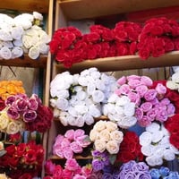 تصفيه محل • توصيل • ٢٠٠ باقه