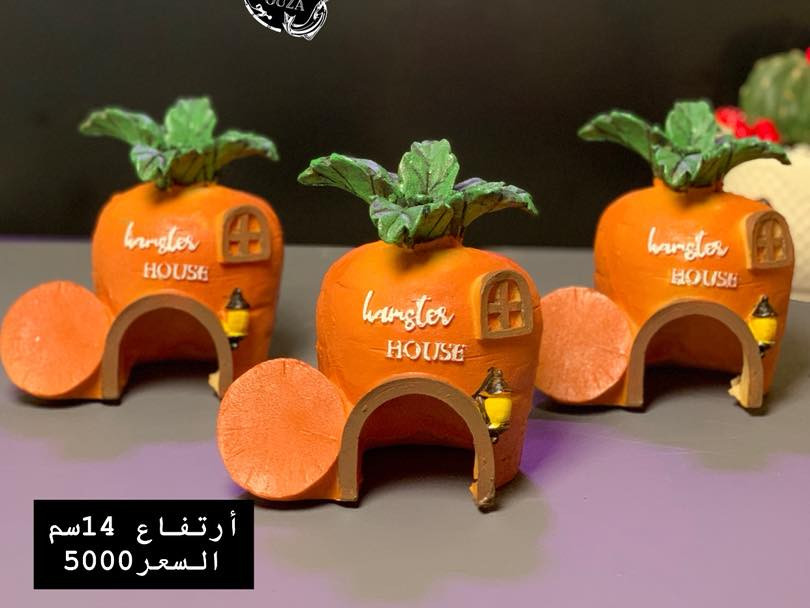 ✨ جديد وحصرياً في بيج فيروزة ✨

وصلتنا مجموعة مميزة وجميلة من الأكواخ بأشكال متنوعة تجنن 😍  
مناسبة للزينة داخل أحواض الأسماك، التيراريوم، أو حتى كديكور أنيق يضيف لمسة حلوة 🌿🐠

📏 القياسات والأسعار موضحة داخل الصور  
🚚 توصيل متوفر لجميع المحافظات  

لا يفوتكم الجمال ✨  

#فيروزة #اكواخ_زينة #احواض_اسماك #ديكور_منزلي #تيراريوم #زينة_احواض #سمك_زينة #بغداد #العراق #ديكور #افكار_منزلية #نباتات #اكسبلور_فولو_ي_حلو🔥😴


**إذا كنت صاحب هذا الإعلان وتريد حذفه لأي سبب، رجاءا أرسل رسالة إلى الدعم الفني**