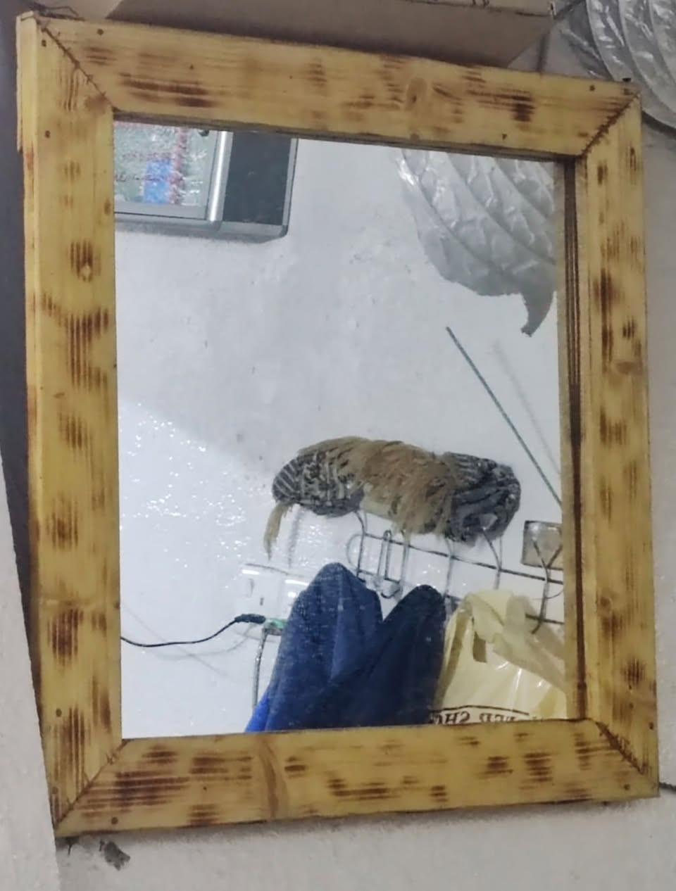 للبيع ديكور خشب رقم وحد فصال جديد ***********) (***********
