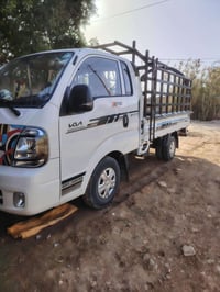 كيا بنكو ٢٠٢٥ • ماشية ٦٠٠٠ • الديوانية السدير