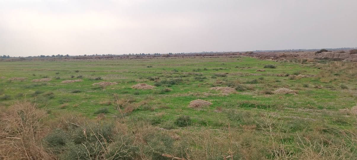 سلام عليكم.للبيع ارض 15 دونم طابو ماء وكهرباء طريق رسمي الدوانيه قضاء الدغاره طريق دغاره شوملي ***********
