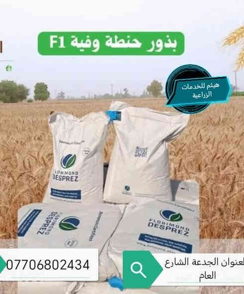 ✅محلات هيثم للخدمات الزراعية ✅

✅متوفر بذور الحنطة ✅

#نزار_وزن_الكيس40كيلو
#ادنا_وزن_الكيس25_كيلو
#الوفية_وزن_الكيس_25_كيلو
#العربية_وزن_الكيس_25كيلو 

متوفر بنت الجيس

#نزار
#الوفية

#اسعار_مناسبة_جدا_جدا
#متوفر_جملة_مفرد

✅العنوان الجدعة الشارع العام مقابل مجمع جنة الأسعار محلات هيثم للخدمات الزراعية ***********
#حياكم_الله_الف_الف_الهلة
