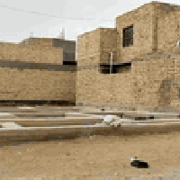 طابو • ١٥٠م • ركن