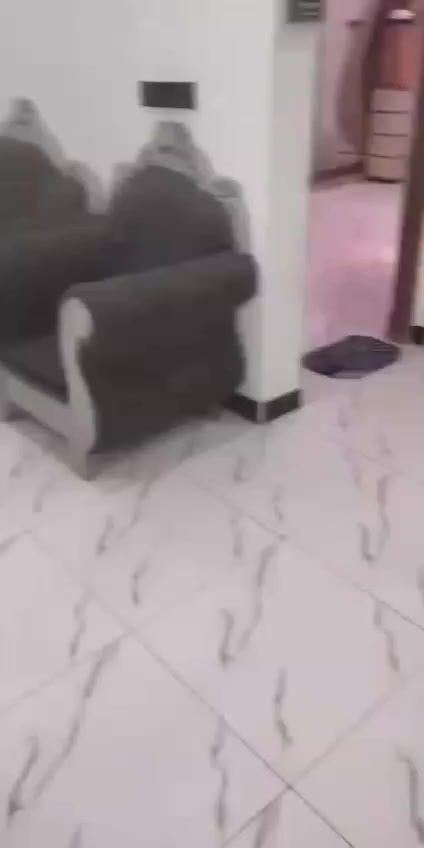 بيت زراعي للبيع. لمساحه 150  بي غرفه وصاله وبراني ومطبخ وحمام داخلي وصحيات خارجيه.  لعنوان. ورة لعمارات جدد نزلت سيد  هاشم   ***********
