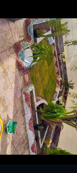 الديكور اتصل على الرقم (***********)
🍃مستـعدون🍂 ، لـترتيب🐦 الحدائق المنزلية 🏝️🏘️ ودوائر الدوله والمتنزهات  مايخص
