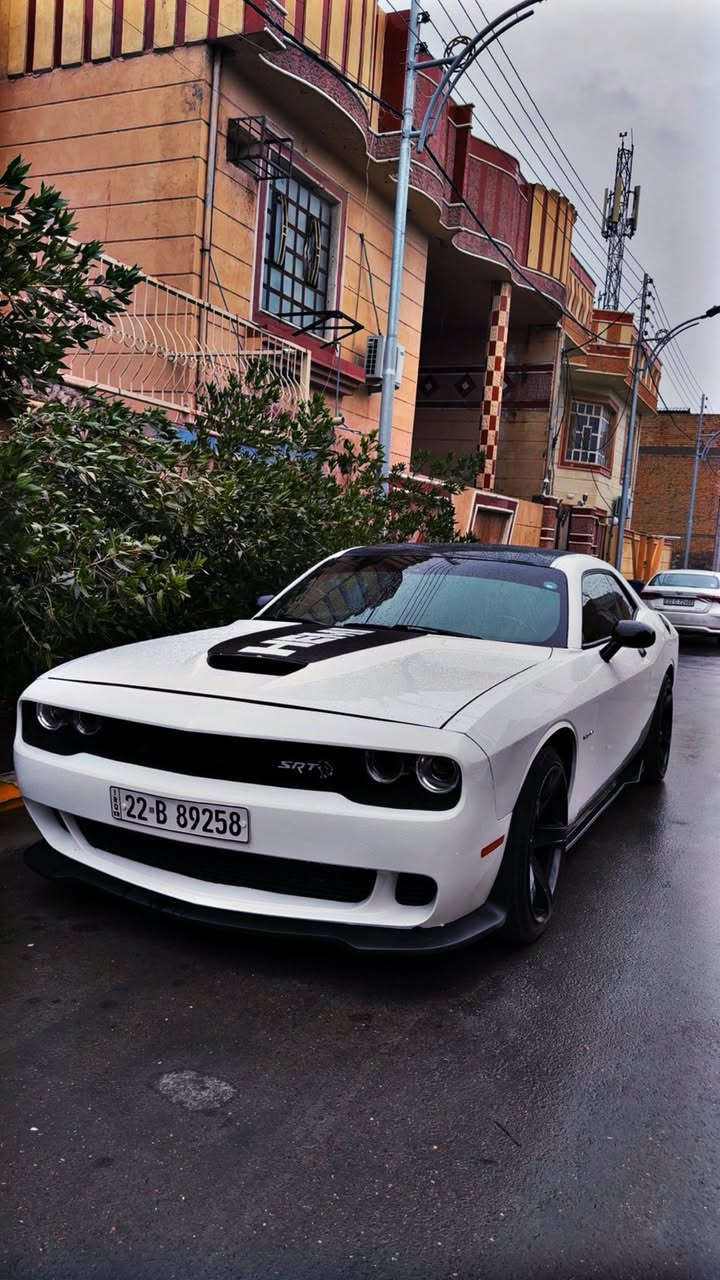 جالنجر 2021
رقم شمالي
(RT)5700
لون ابيض
كير محرك مكفول
المواصفات. RT
بصمة تشغيل عن بعد بصمة ابواب كشن كهرباء
شفتات ستيرين
دكمة تراك وسبورت
شاشة كار بلي
تبريد قطعتين
كامره دواره360
منظومه زنون
ويل نجمة اصلي
كامله مسويله ادامه
غرفة وكشنات تطريز تخبل
كلفتني 8اوراق
ودبات سود عليه صوت رعب
زيوت فلاتر كله جديد
الحادث:جاملغات خلفيه صبغ والامامي صفحة السكن فقط.
مروس بجيب


**إذا كنت صاحب هذا الإعلان وتريد حذفه لأي سبب، رجاءا أرسل رسالة إلى الدعم الفني**