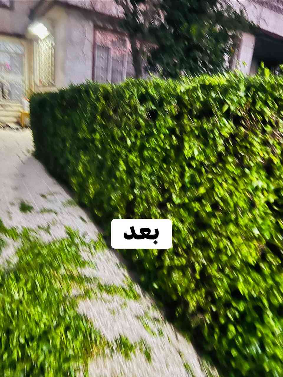 تقليم حسب طلب الزبون لتواصل ***********

