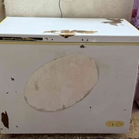 مجمدة • حجم وسط • بدون ضرر