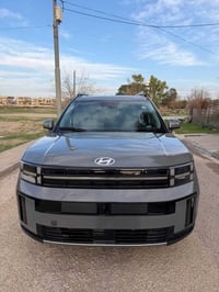 سنتافي ليمتد • ٢٠٢٤ • بلا صبغ