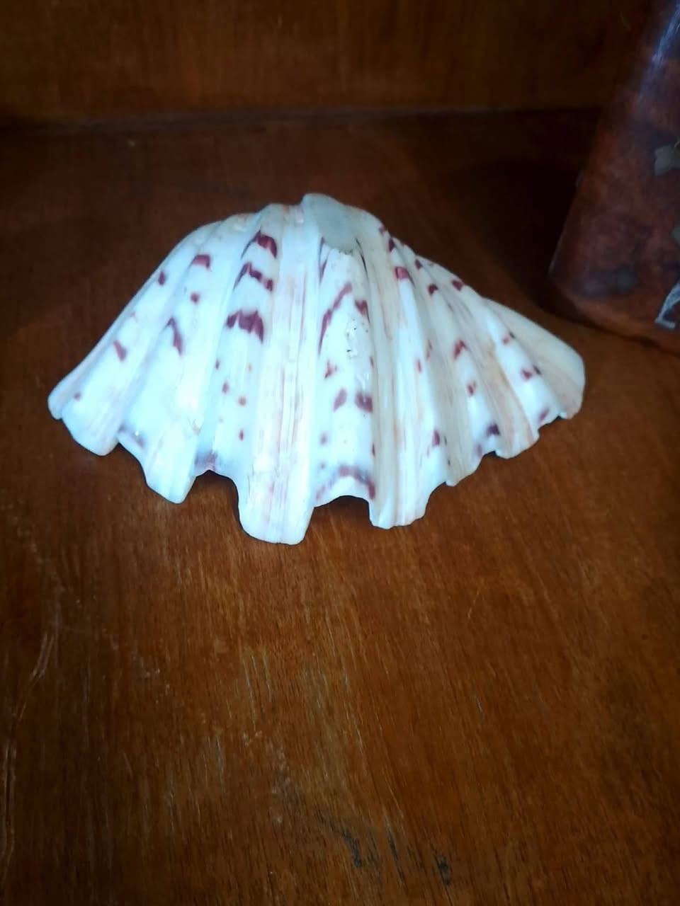 سعر الكول ٣٥٠ الف دينار قفل قفل
لا يوجد توصيل عنواني بغداد حي اور  رقمي بيه وتساب 
***********
