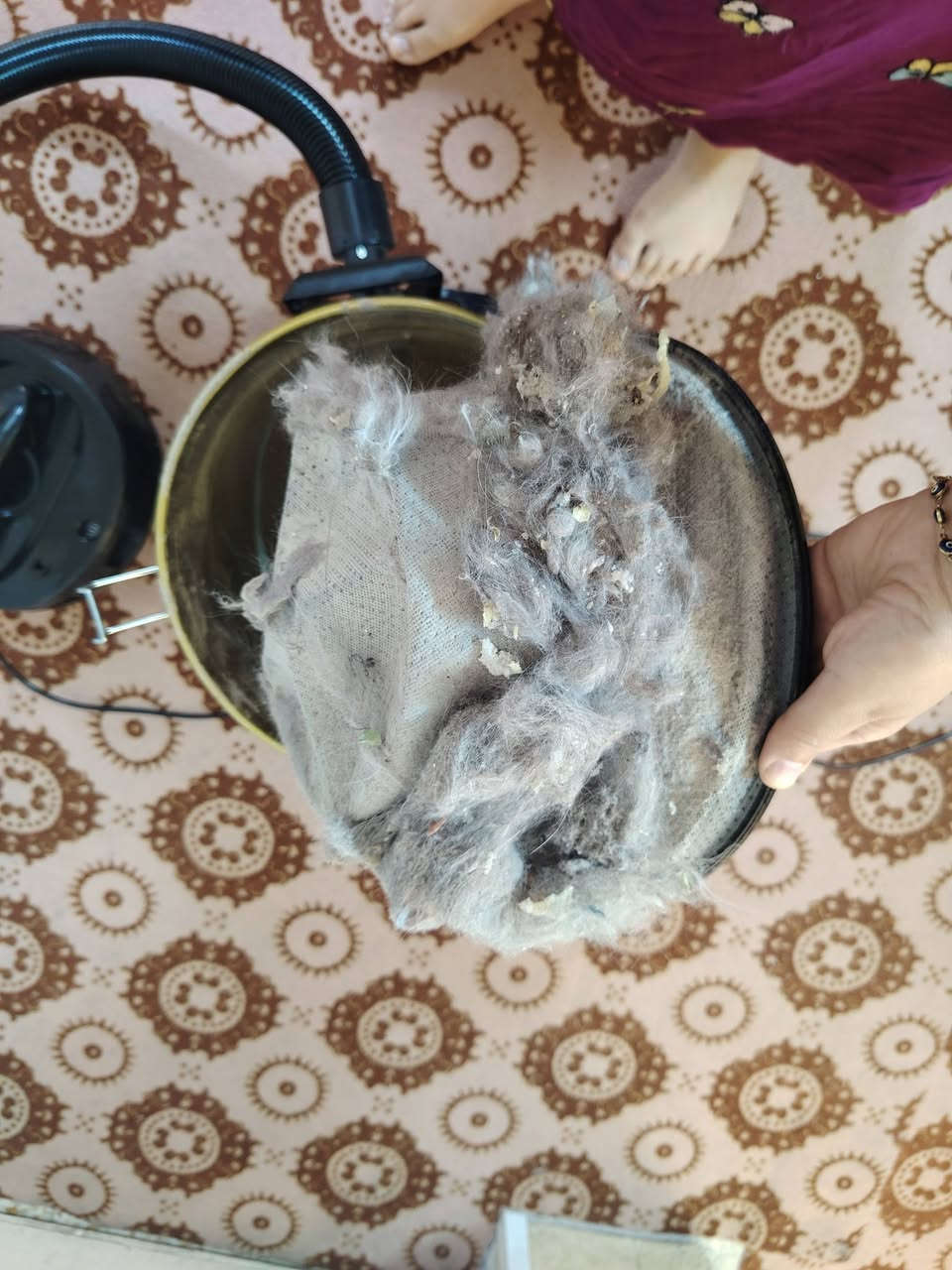 للبيع السعر ٥٠ شفط قوي جديده امانه الله


**إذا كنت صاحب هذا الإعلان وتريد حذفه لأي سبب، رجاءا أرسل رسالة إلى الدعم الفني**