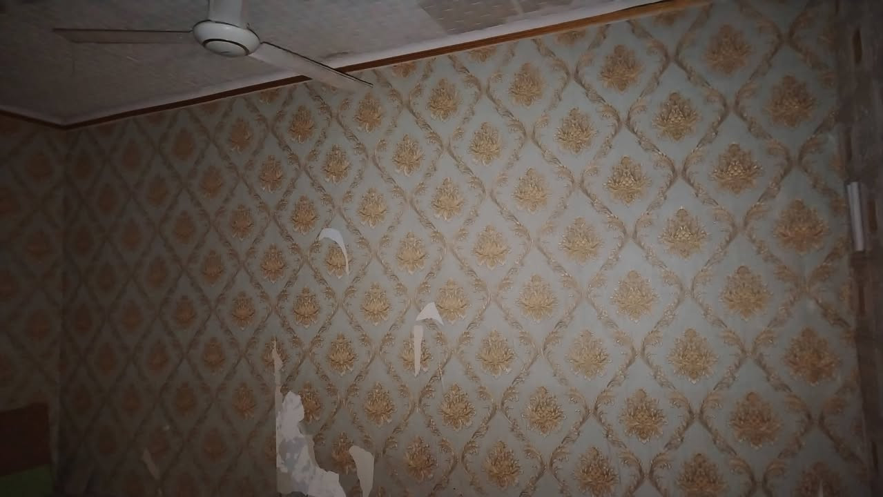 اللهم صل على محمد وآل محمد
دار للبيع ١٤٠م زراعي    ركن

عنوان الدار /// كوفه حي ١٧ تموز. سايدين ريبال

قريب على السايدين ريبال جدا

غرفتين منام  مع صاله كبيره  ومطبخ  مع صحيات عدد٢

مكشوفه  وكراج سياره كبير

اساس تجعيب والبناء بلوك سقف عكاده

موقعه كلش حلو

السعر ٣٠ قفل

للاستفسار أكثر اتصل بنا

*********** ابو محمد الكعبي للعقارات
