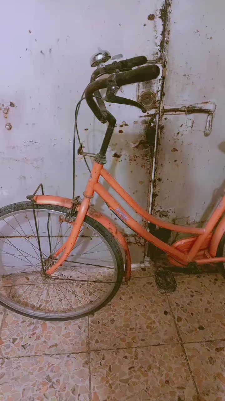 بايسكل للبيع مكاني كاضميه توصيل ماكو سعر خاص بناتي حجم 26 لون 🍊


**إذا كنت صاحب هذا الإعلان وتريد حذفه لأي سبب، رجاءا أرسل رسالة إلى الدعم الفني**