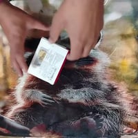 كاميرا • للبيع