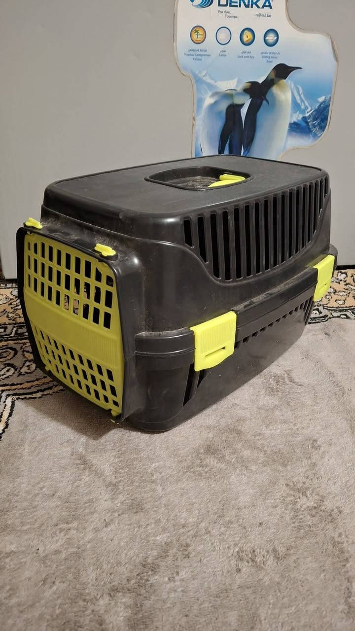 السلام عليكم غراض قطط لتر بوكس وقفص جدد الواحد ب15


**إذا كنت صاحب هذا الإعلان وتريد حذفه لأي سبب، رجاءا أرسل رسالة إلى الدعم الفني**