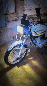 تايكر ٢٠٢٥ • دراجة • كفالة عامة