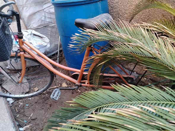 بايسكلات ٢ الأسود رياضي كير تاير جوبلس ميبنجر البايسكل مابي نقص بس اغسل و اطلع قيم واخذ بس مو جوة ال٥٠ الياباني تايرات بس نازلة مابي نقص قيم واخذ مكاني حي الجهاد للتواصل ***********
